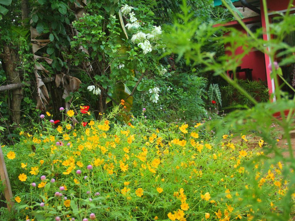 Little Pink House Apartment มิริสซา ห้อง รูปภาพ