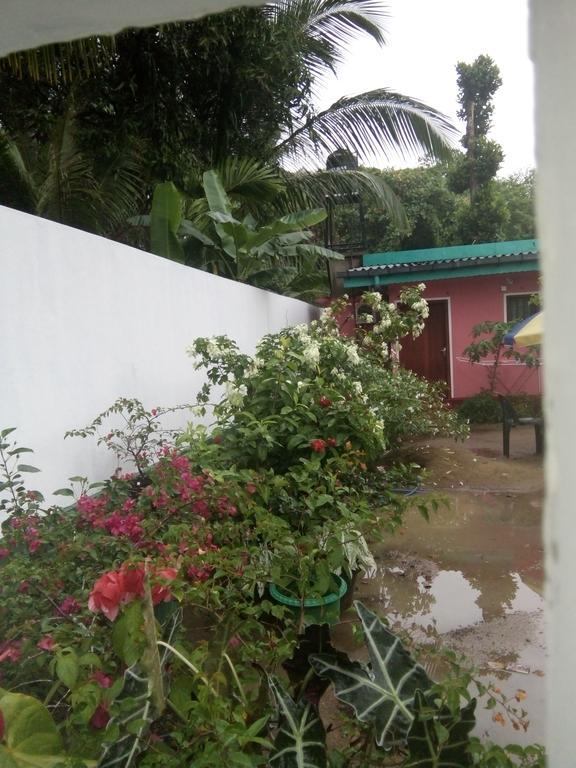 Little Pink House Apartment มิริสซา ภายนอก รูปภาพ