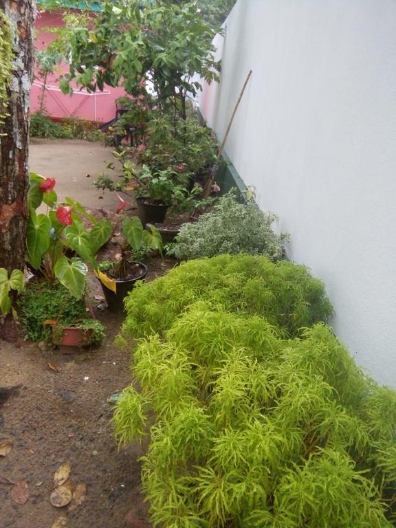 Little Pink House Apartment มิริสซา ภายนอก รูปภาพ